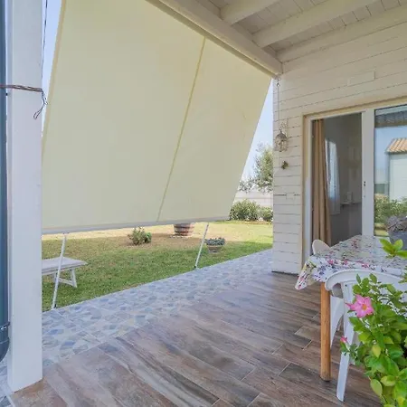 Agri Lemon
